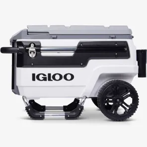 Igloo