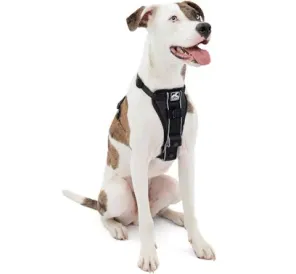 Tru-Fit Smart Dog Harness