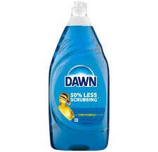 Dawn