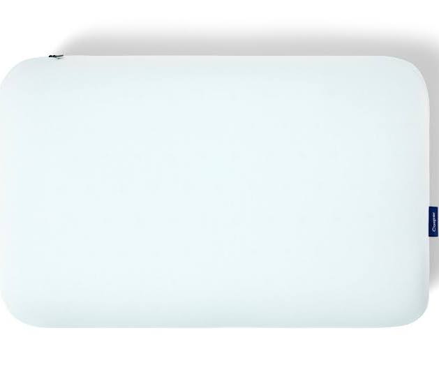Wave Hybrid Snow