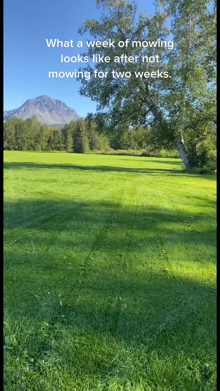 @akbriarwoodfarm — Husqvarna 450x Automower: Efficient Lawn Care