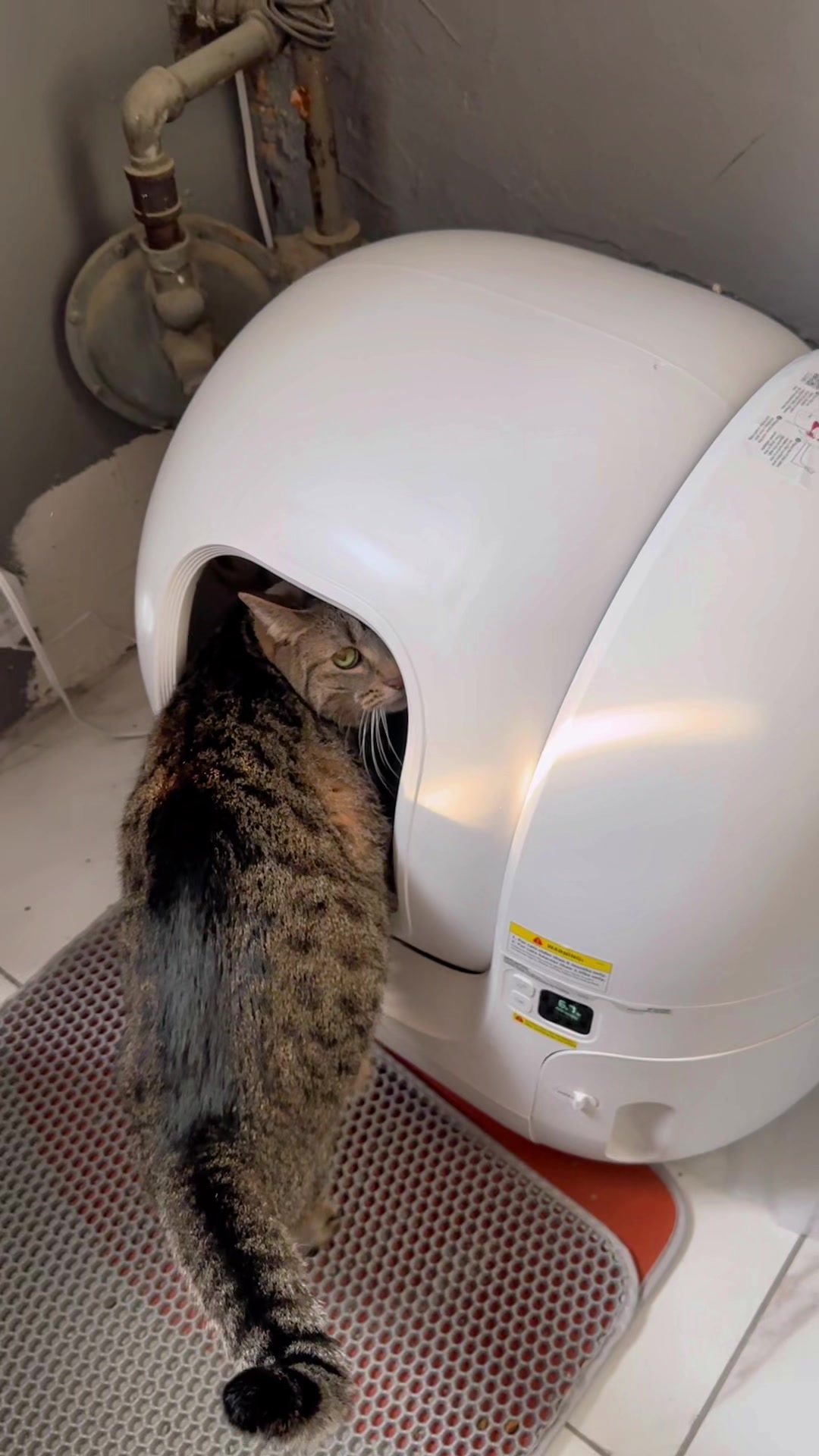 @jennabloomm — PetKit Pura Max Automated Cat Litter Box Review