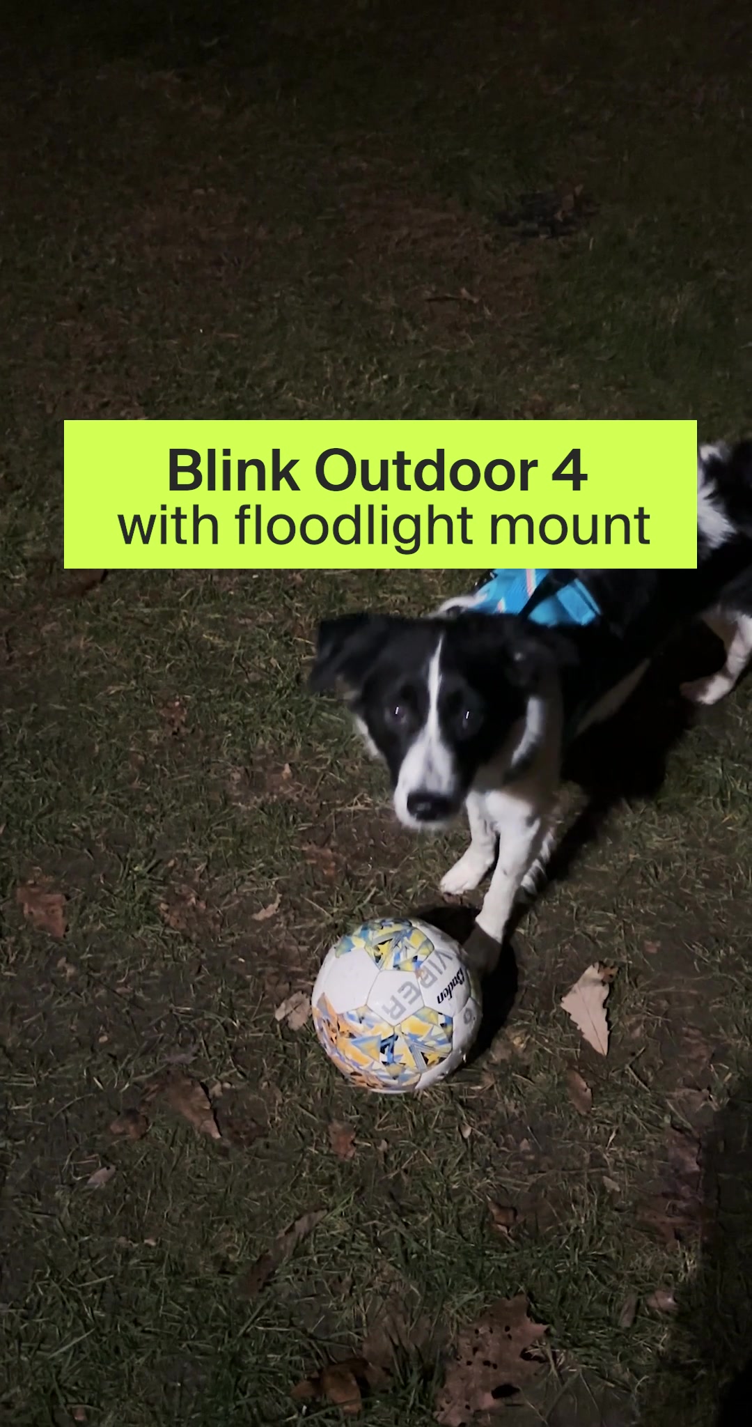 @zdnet_official — Blink Outdoor 4 floodlight review #techtok #techreview ...