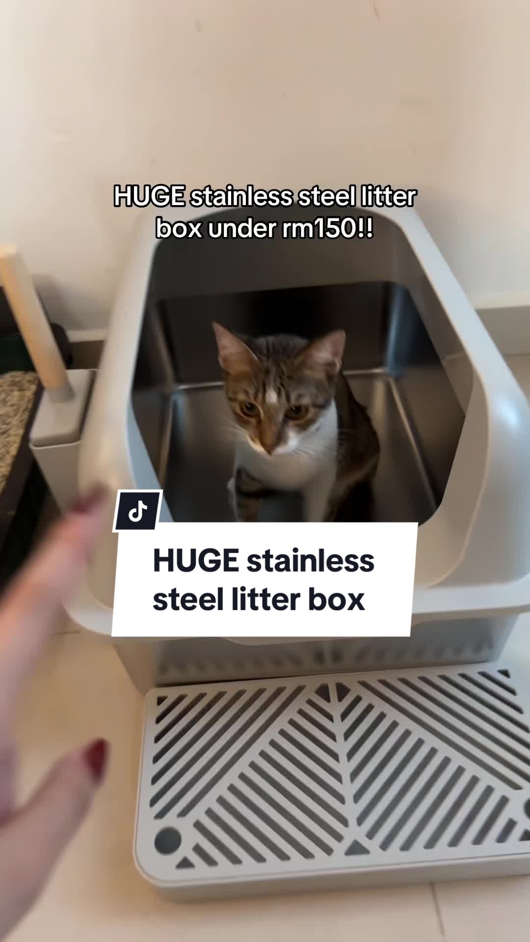 @simplyreanne — HUGE Stainless Steel Litter Box under RM150! Best For Cats' ...