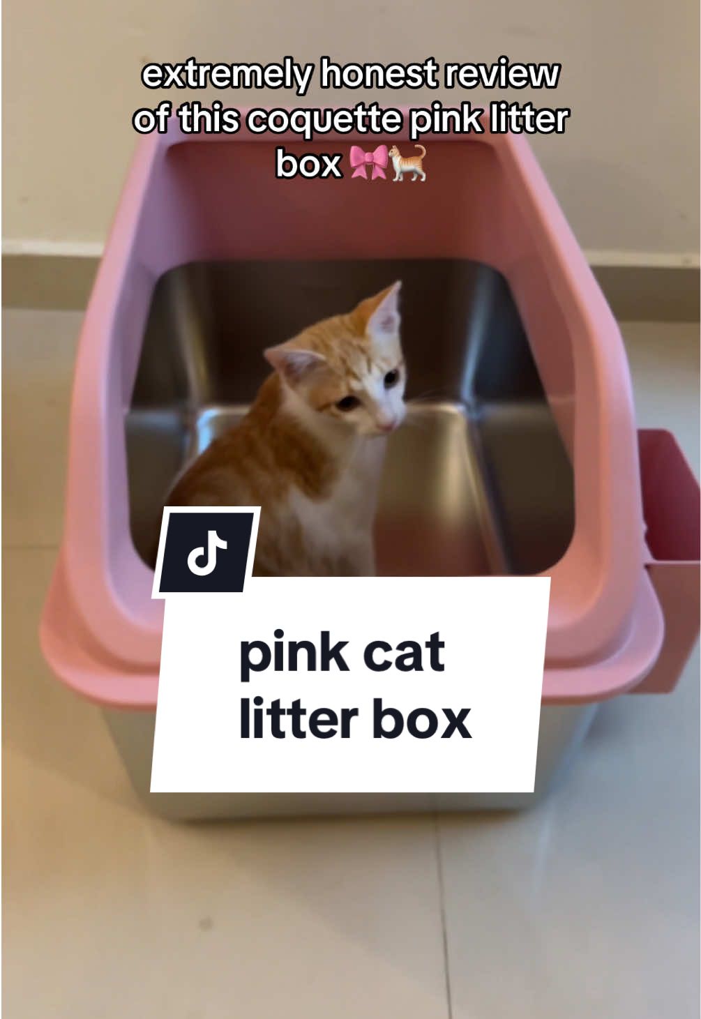@simplyreanne — Cutest Stainless Steel Cat Litter Box Review