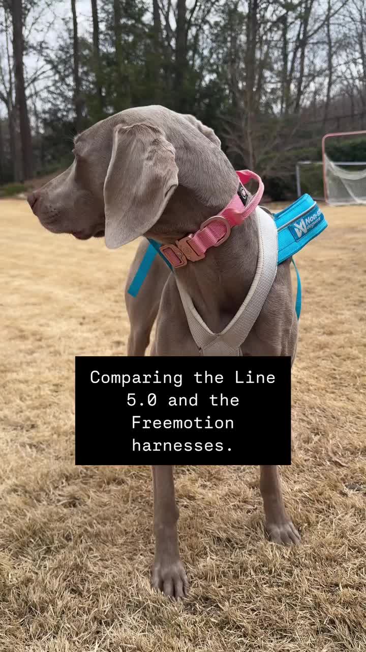 @weim_crime.sisters — Non-stop Dogwear Harnesses: Line 5.0 vs Freemotion Guide