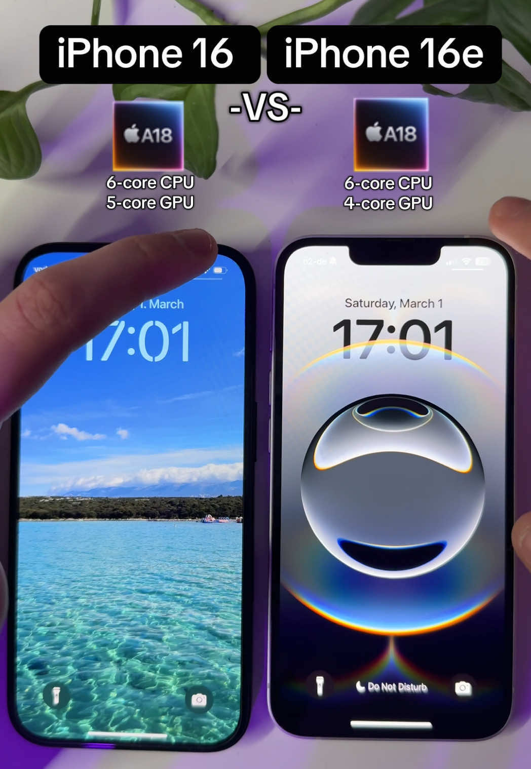 @itricksmark — iPhone 16 vs 16e: A Detailed Comparison