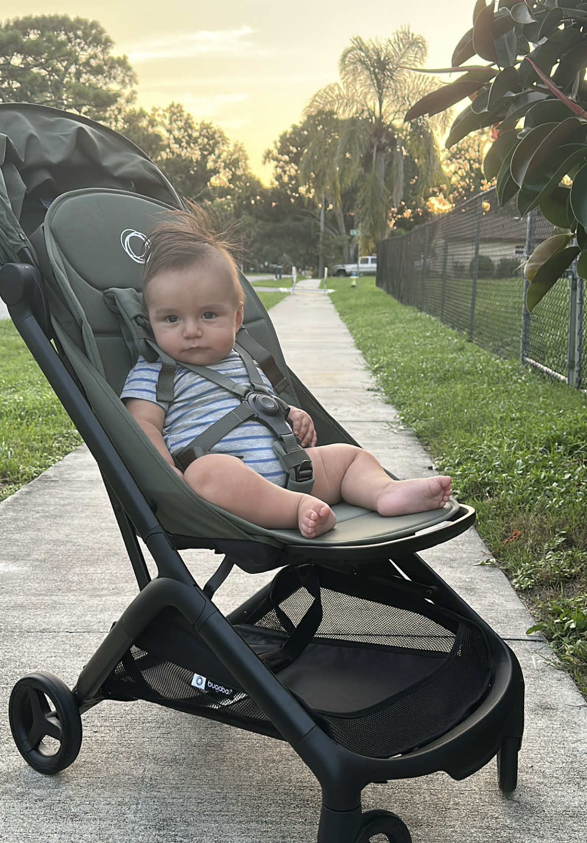 @themilknest — Bugaboo Butterfly 1 vs 2: Comprehensive Review