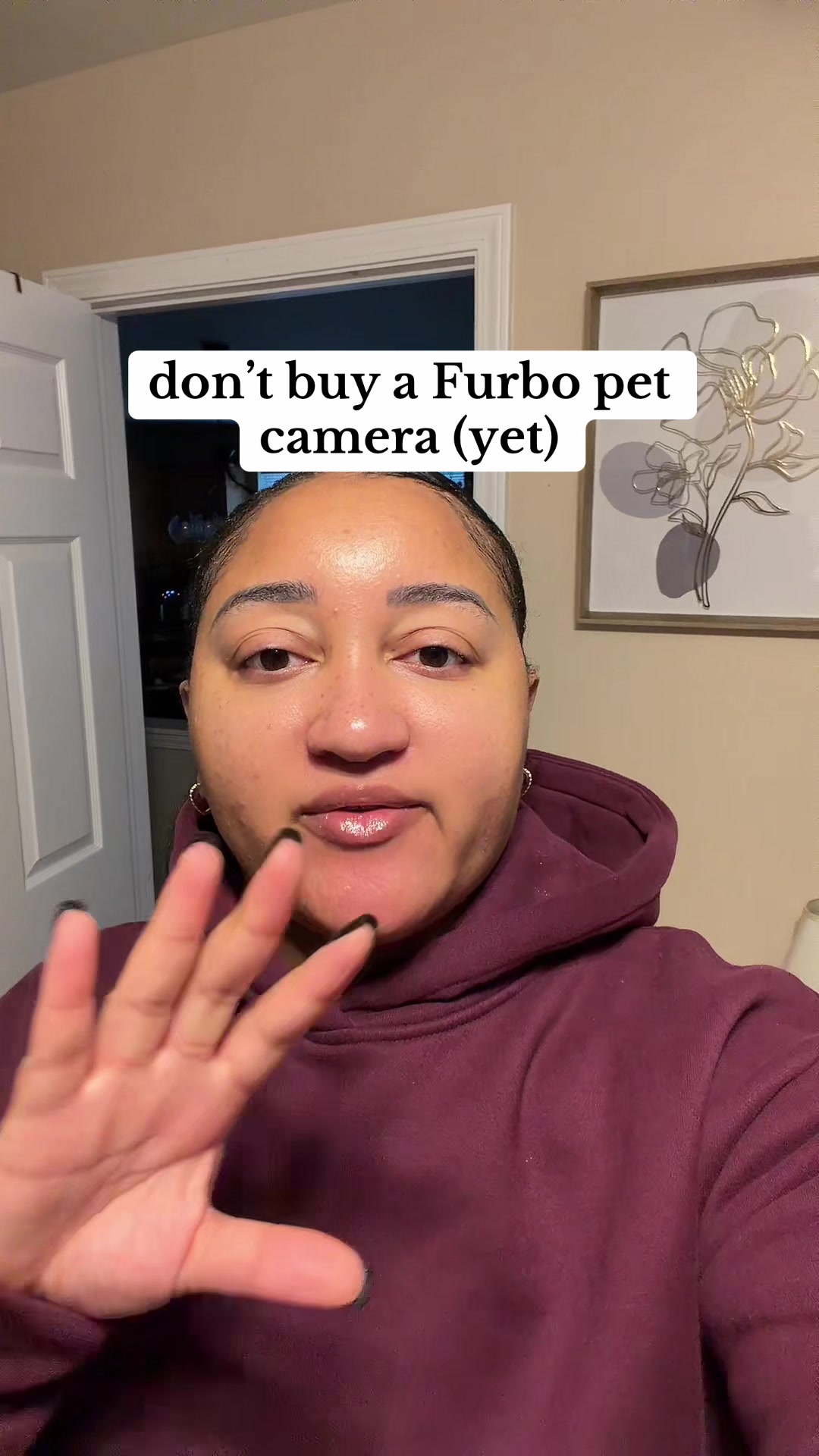 @brayandlexi — the Furbo 360 original, mini and mini 360 are all really good ...