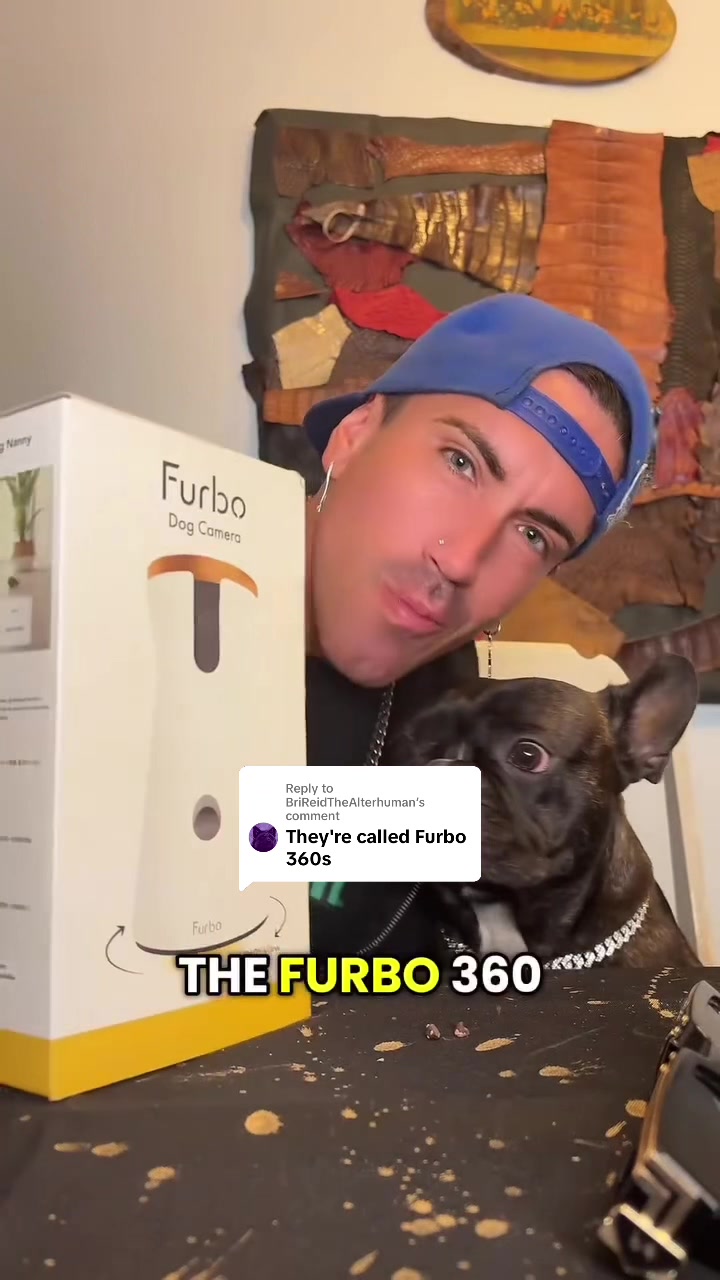 @sans.tv — Furbo 360 Review: Setup, Features & First Impressions