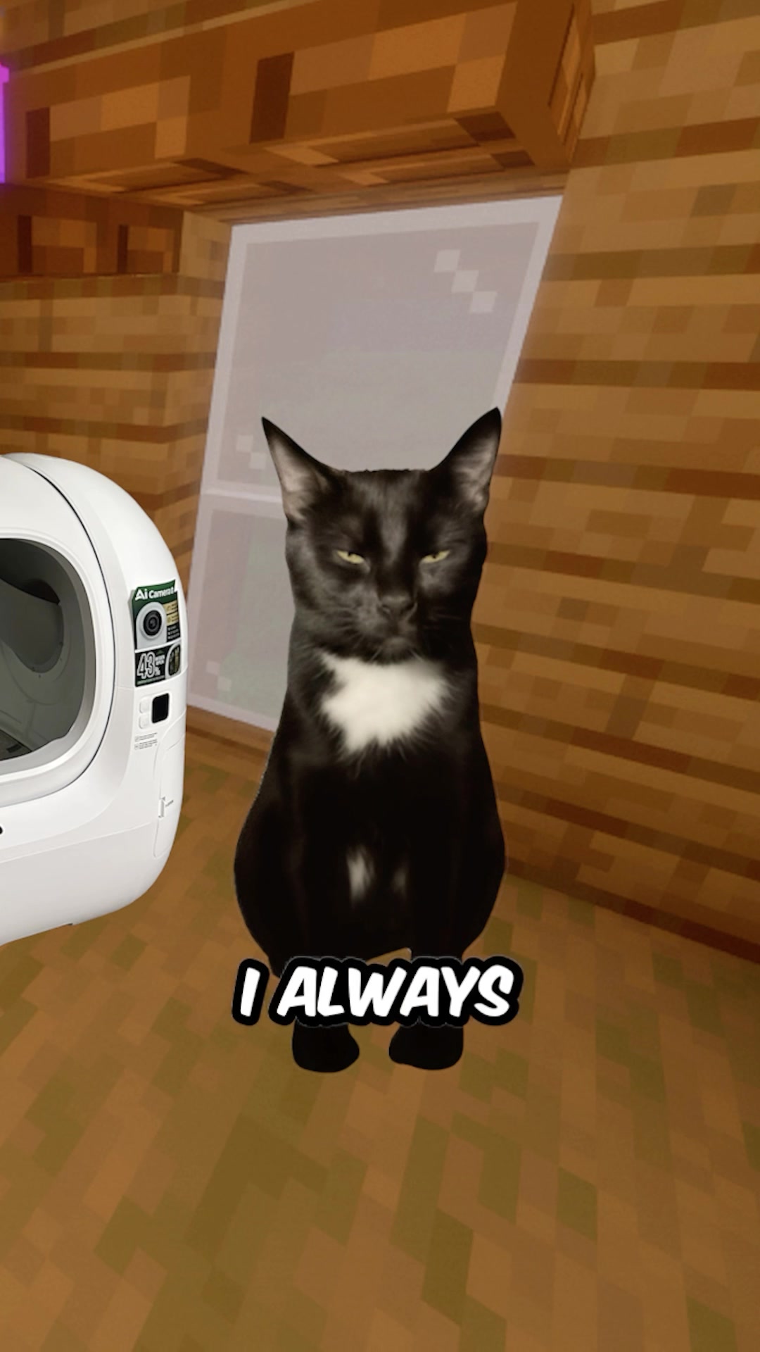 @chill.cat.guy — PetKit Pura Bot Max Pro 2: Smart Litter Box Review