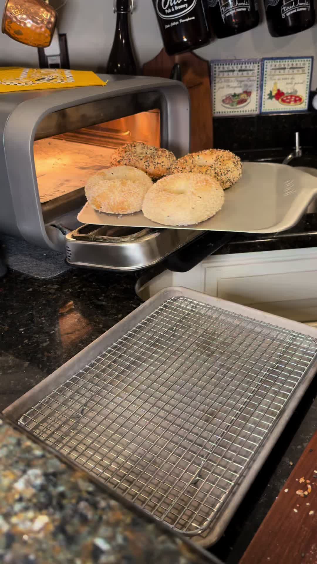 @jimmyhankpizza — Homemade NY Style Bagels in Ooni Volt 2
