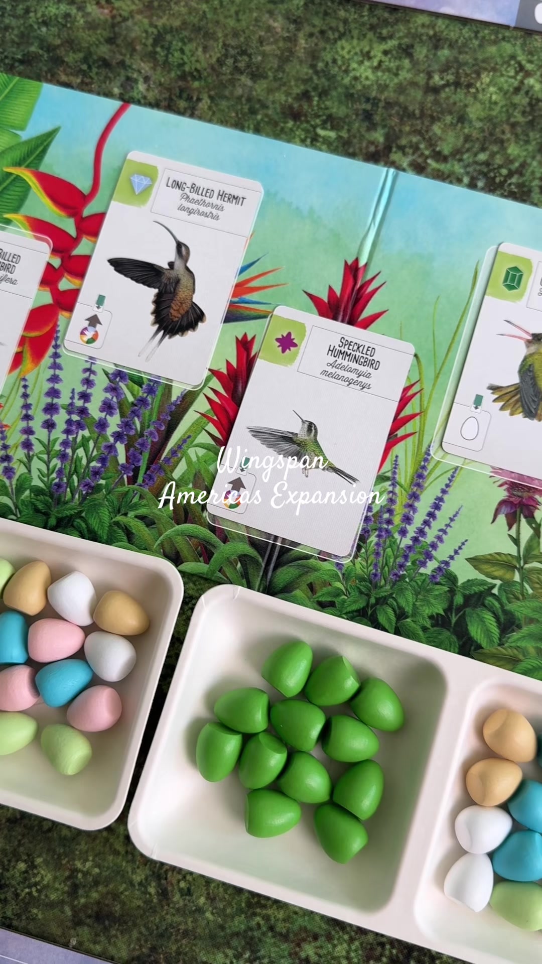 @boardgamedeepdive — Wingspan Americas Expansion 🦜 Thank you