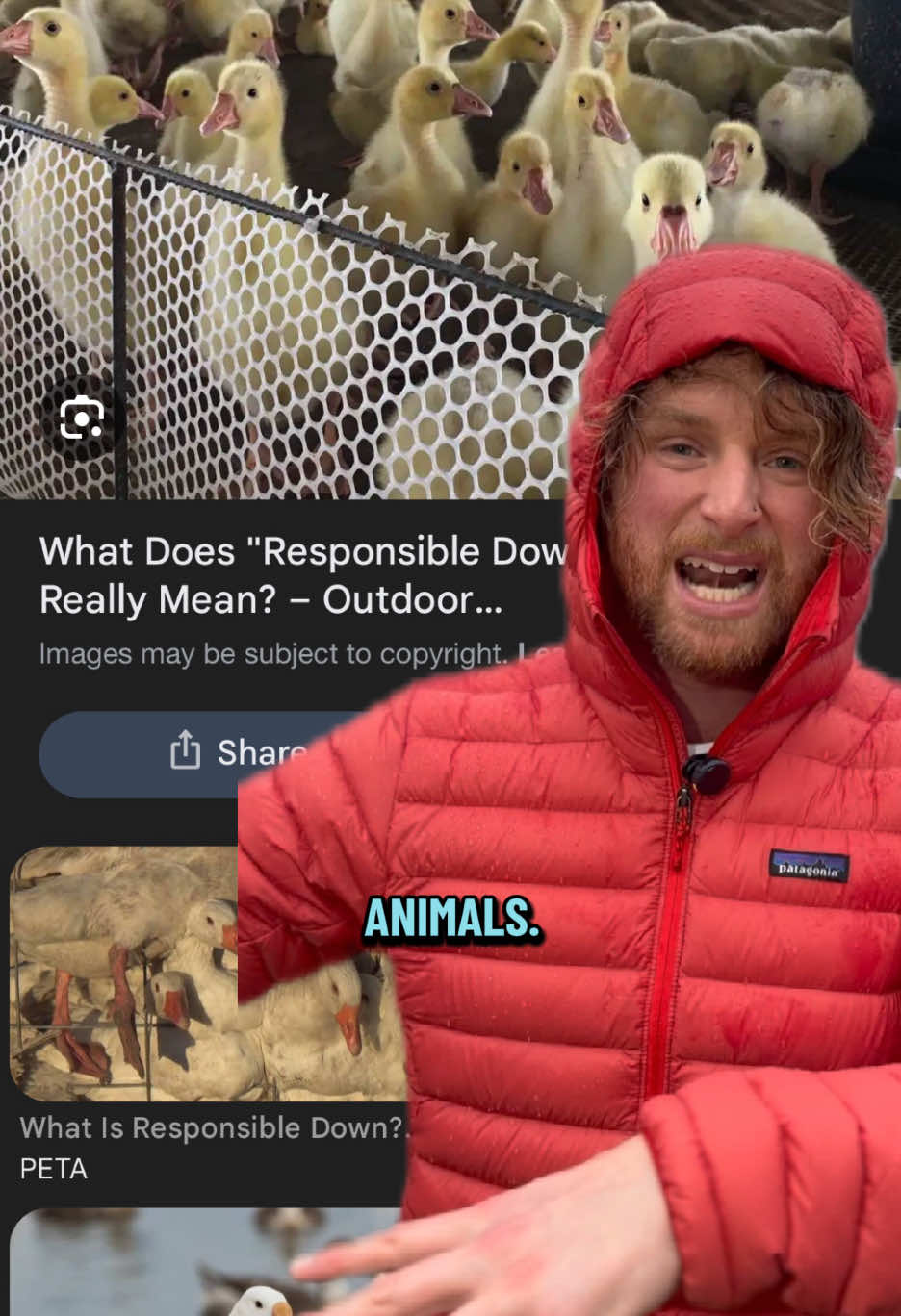 @shortreviewswithseth — Patagonia Down Sweater Hoody Review: Fit & Features