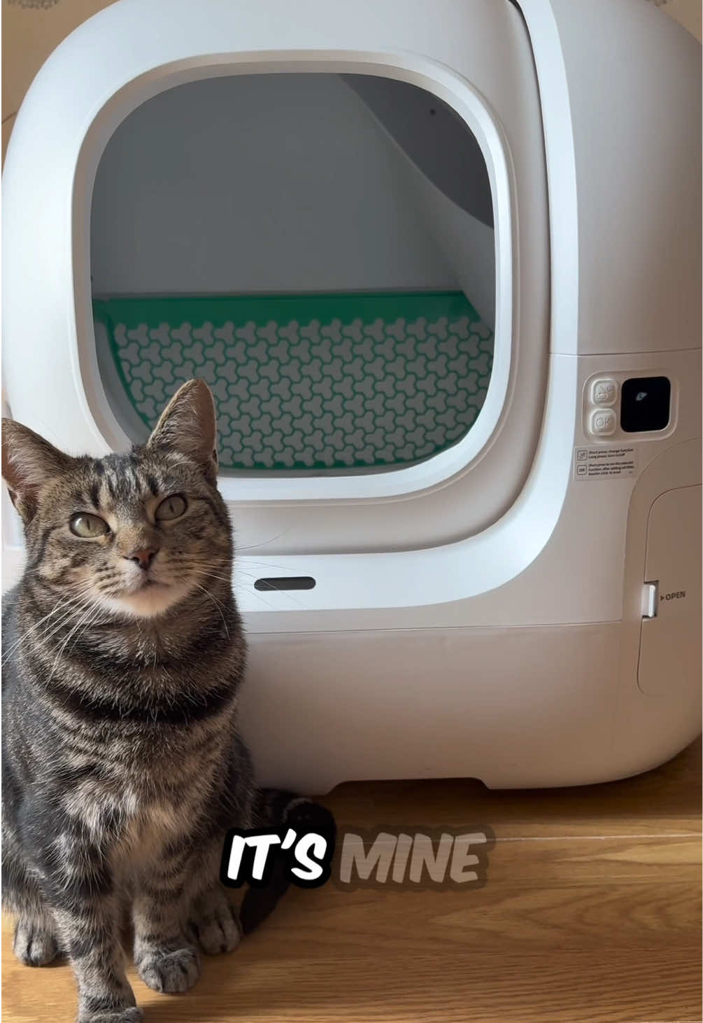 @thecomedycat — Smart Litter Box Safety Review: PETKIT PurBot Max Pro 2