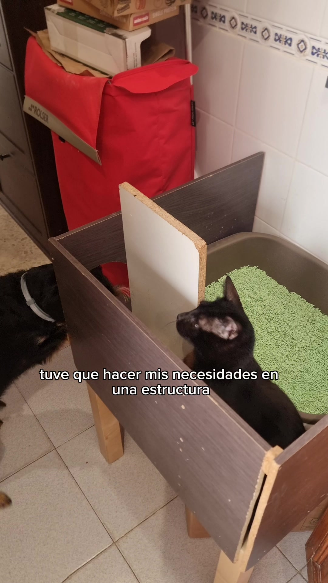 @liloydante — Arenero inteligente Purobot Max Pro 2 PETKIT: reseña y ...