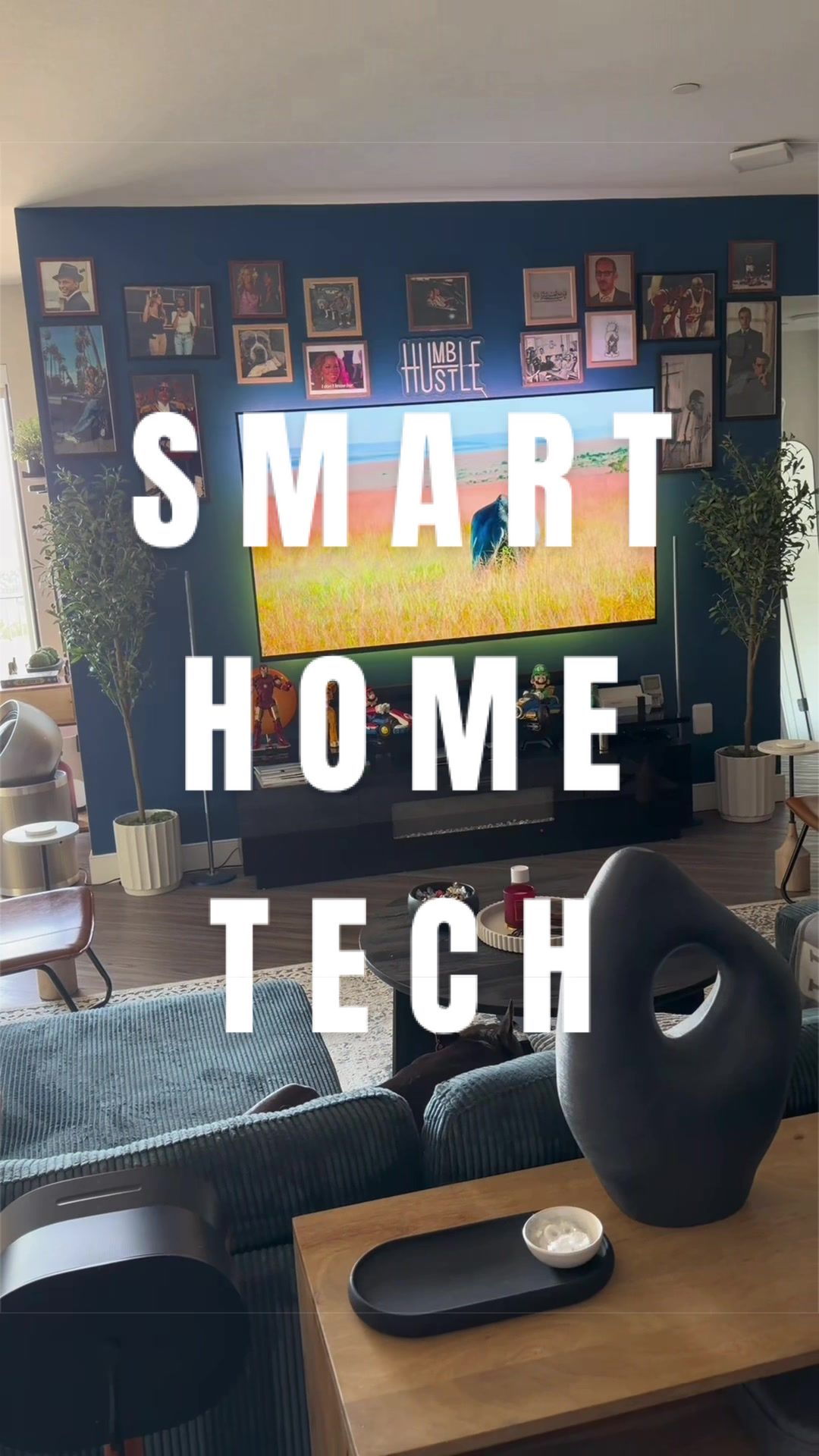 @ol_blue_eyez — Samsung S90F, Sonos Arc Ultra, Dreame PM20
