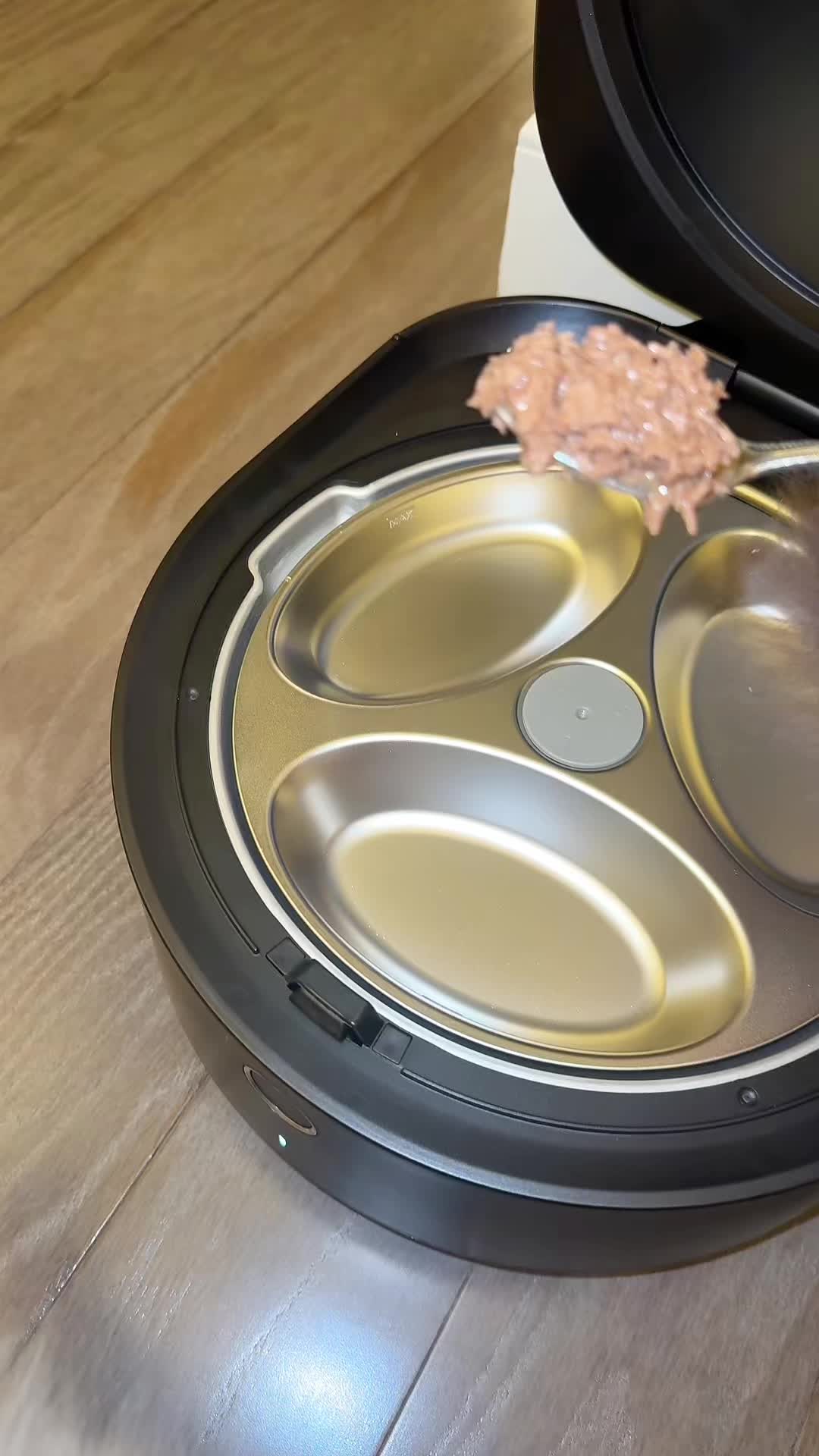 @redheadmomma08 — Petlibro Polar Smart Wet Food Feeder Review